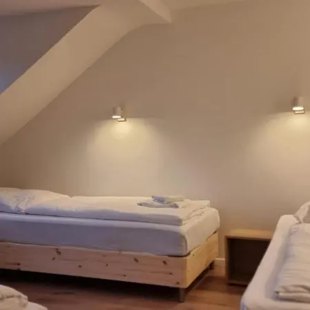 Tolstov House - 5 House With Terrace - 35 Min To Messe Dus Apartmán *